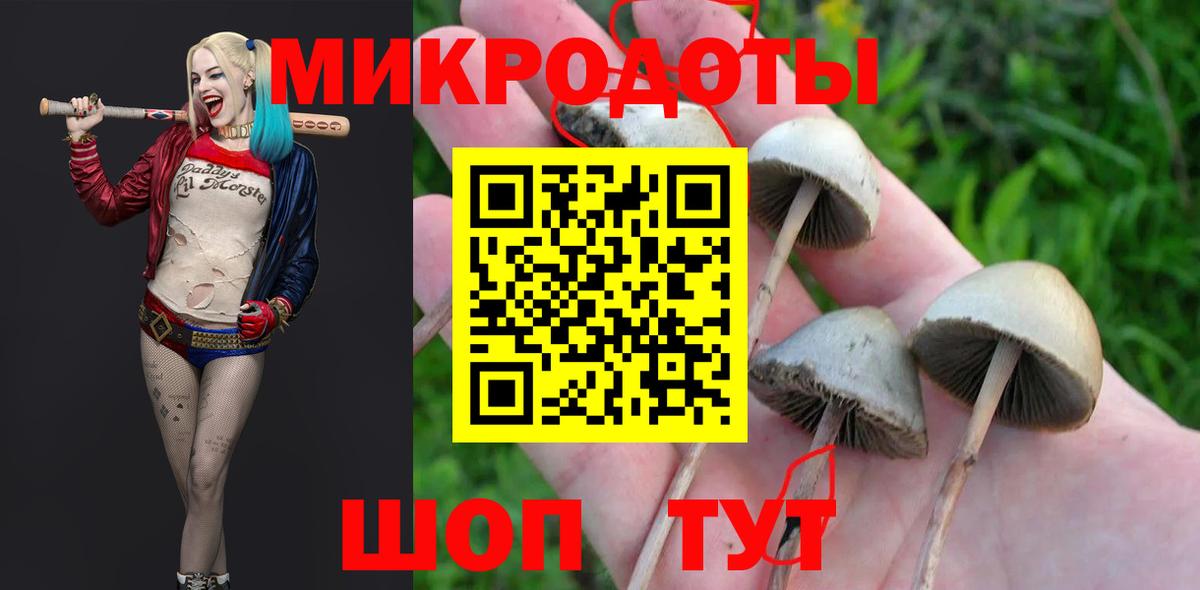 Псилоцибиновые грибы Magic Shrooms Шахты